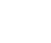 NSP Surf & SUP Boards